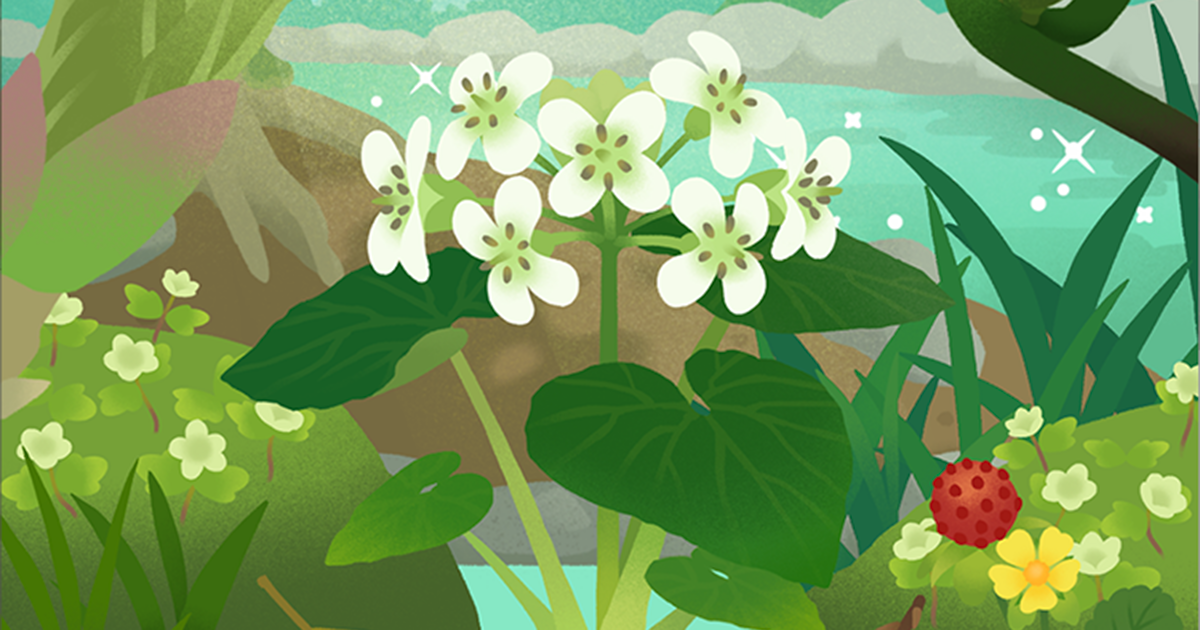 春の山菜とせせらぎの島